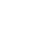 Opinion Research Services' Logo